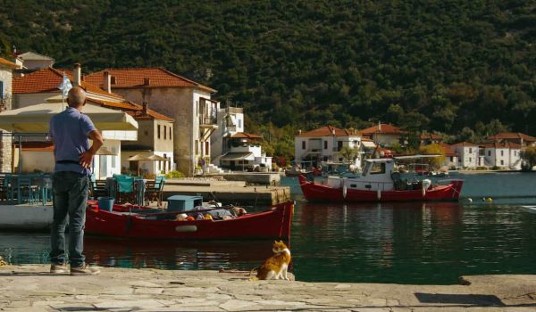 informe de pre-compra embarcaciones